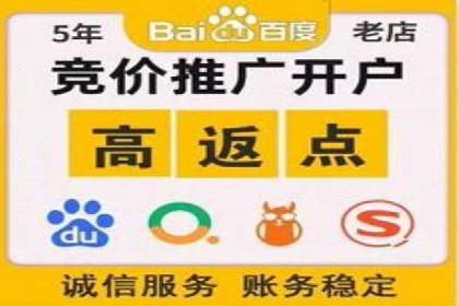 某某sem推广公司案例揭秘：如何精准定位目标用户群体